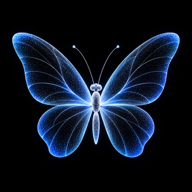 Butterflys